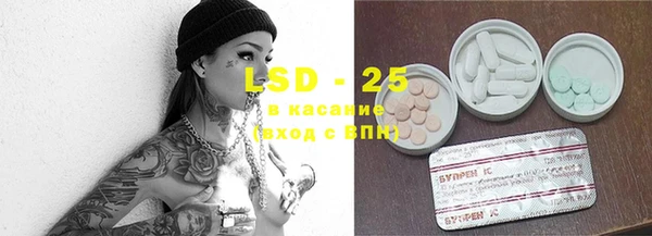 ГАЛЛЮЦИНОГЕННЫЕ ГРИБЫ Богданович