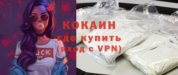 ГАЛЛЮЦИНОГЕННЫЕ ГРИБЫ Богданович
