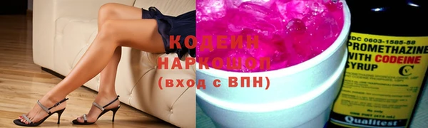 ГАЛЛЮЦИНОГЕННЫЕ ГРИБЫ Богданович