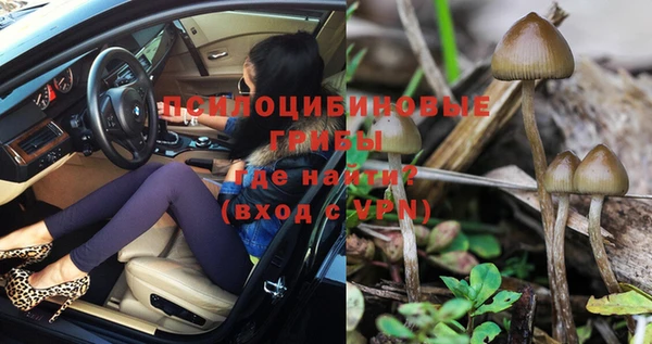 ГАЛЛЮЦИНОГЕННЫЕ ГРИБЫ Богданович