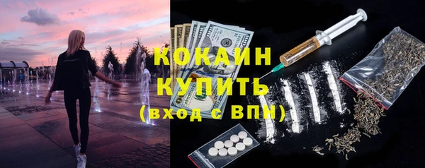 ГАЛЛЮЦИНОГЕННЫЕ ГРИБЫ Богданович
