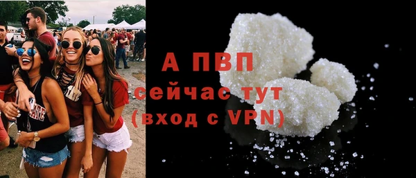 ГАЛЛЮЦИНОГЕННЫЕ ГРИБЫ Богданович