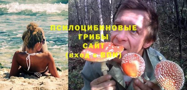 метадон Богородск