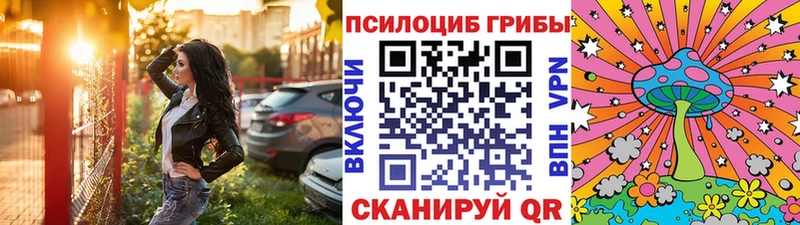 blacksprut зеркало  Горняк  Псилоцибиновые грибы Cubensis 